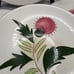 Vintage Stangl Pottery 6 Bread Plates Set of 4 Thistle Design