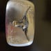 Bull Belt Buckle