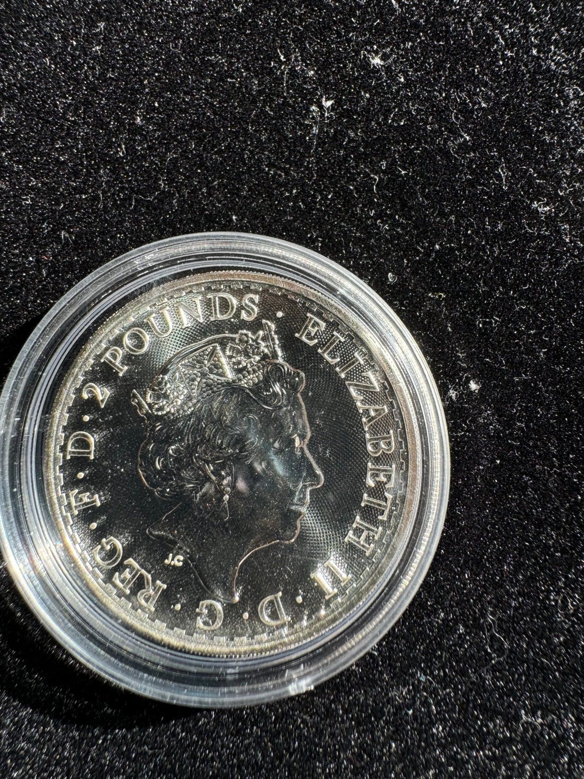 Silver Dollar