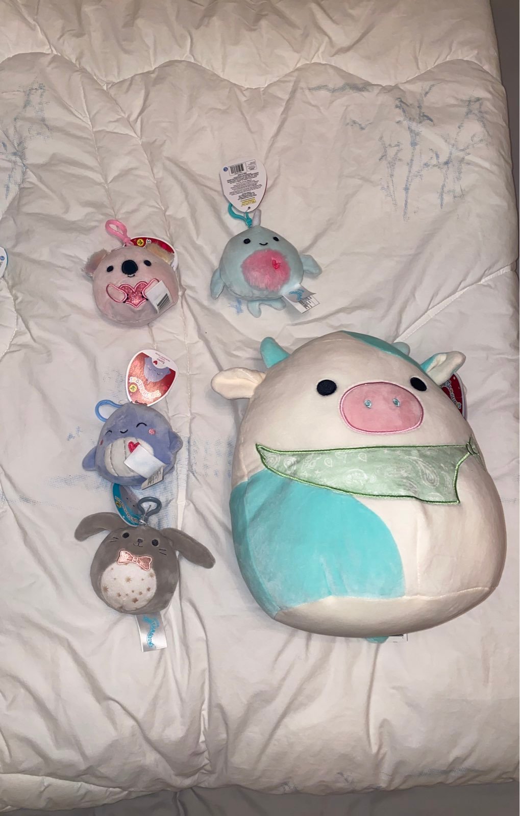 Squishmallow pastel bundle