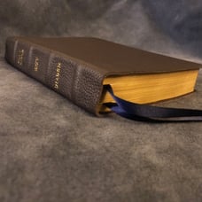 Esv diadem reference Bible Cambridge English standard version leather
