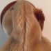 RARE Return To Oz Tik Tok Hand Puppet