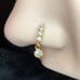 30 piece Variety Nose Ring Set
