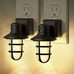 Night Lights Plug into Wall 【 2 Pack】, Vintage LED Night Light.