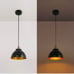 Industrial Modern Black Barn Pendant Light -Set of 3 Lights