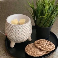 Take a stand scentsy warmer
