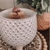 Take a stand scentsy warmer