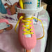 Impala inline skates. Pink and yellow size 5
