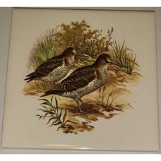 6 Hyalyn 505 Square Plovers Male & Female Trivet Cork Backed! Ultra Rare!