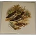 6 Hyalyn 505 Square Plovers Male & Female Trivet Cork Backed! Ultra Rare!