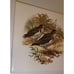 6 Hyalyn 505 Square Plovers Male & Female Trivet Cork Backed! Ultra Rare!
