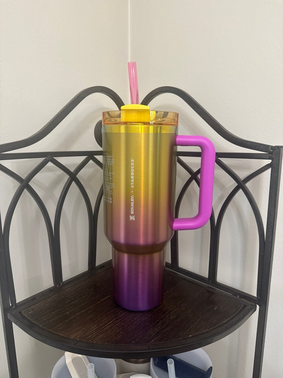 Starbucks X Stanley summer gradient