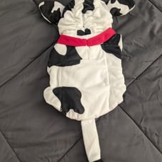 Dog Costume