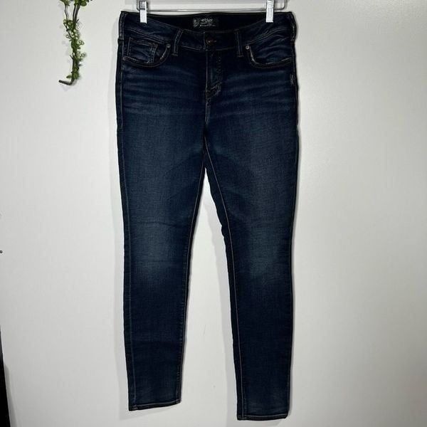 Silver Jeans Co Aiko High Skinny 29x 31