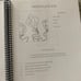 Preschool curriculum