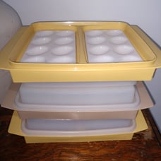 Tupperware Egg Carriers