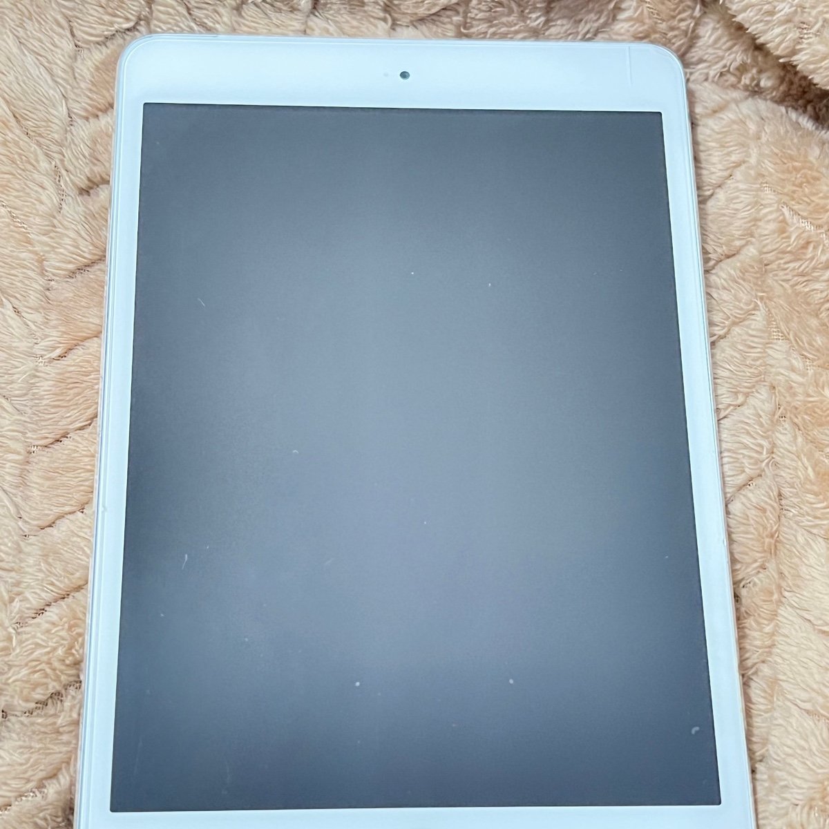 iPad Mini