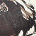 Bleach, Vol. 54-70 by Tite Kubo [Paperback] First Printing ((READ))