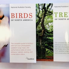 Birds and Trees of North America National Audubon Society Guides Identification