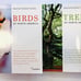 Birds and Trees of North America National Audubon Society Guides Identification