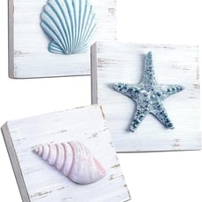 6x6 3D Beach Wall Art Seashell Decor with Starfish Set of 3