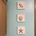 6x6 3D Beach Wall Art Seashell Decor with Starfish Set of 3
