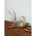 Mid Century Brass Swan Wall Sculptures - Set of 2