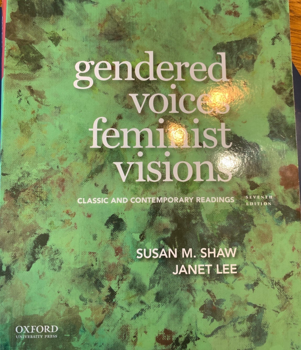 Gendered Voices Feminist Visions Book