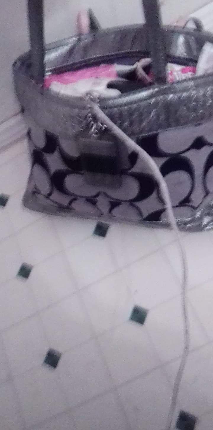 Couch purse and cowgirl pistol purse.
