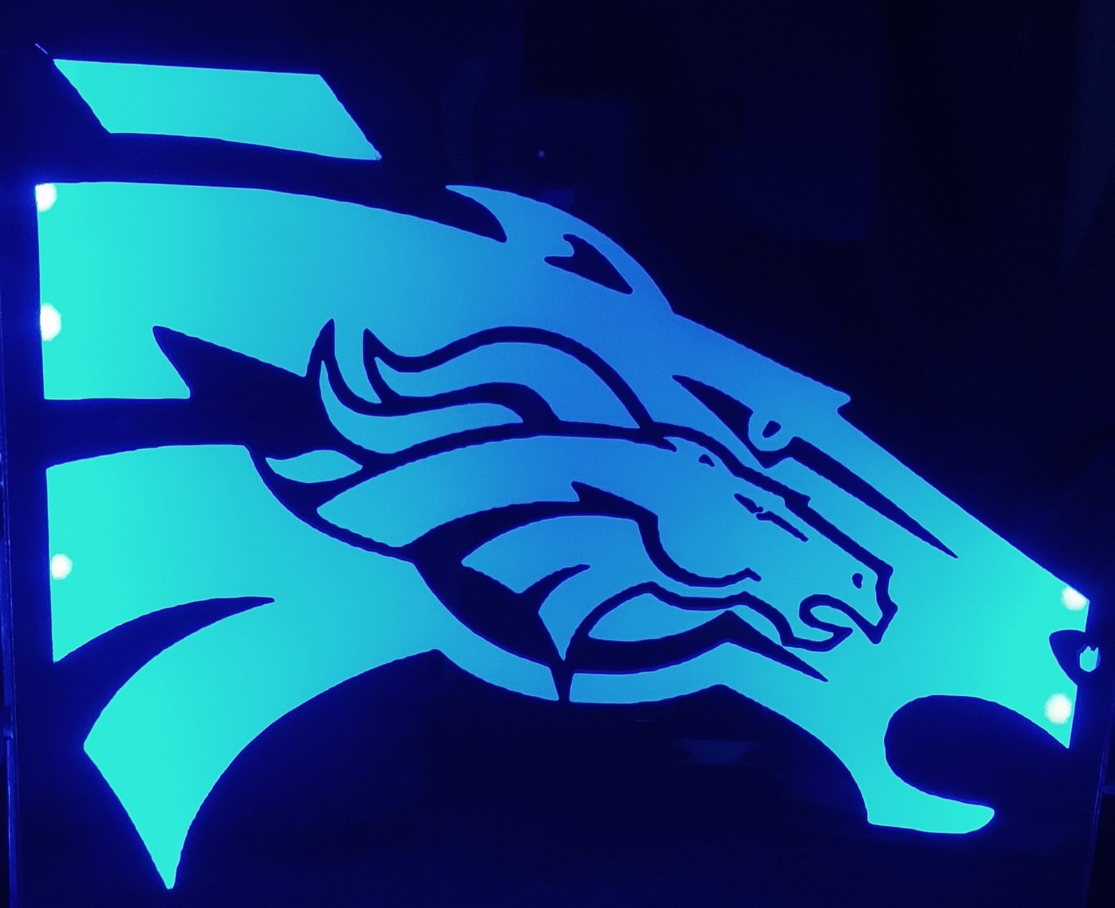 Denver bronco dual head etched lighted m