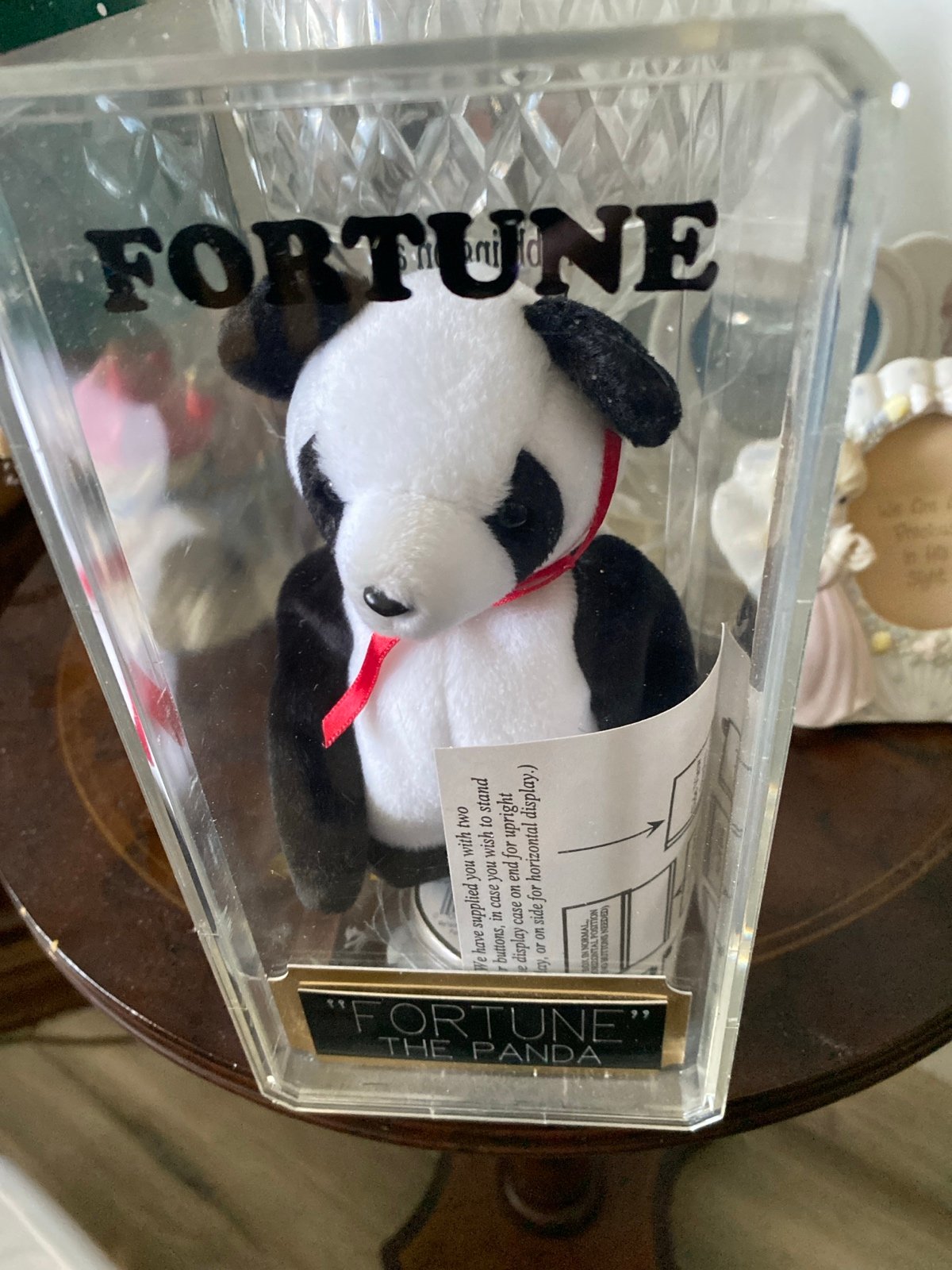Fortune the Panda Bear