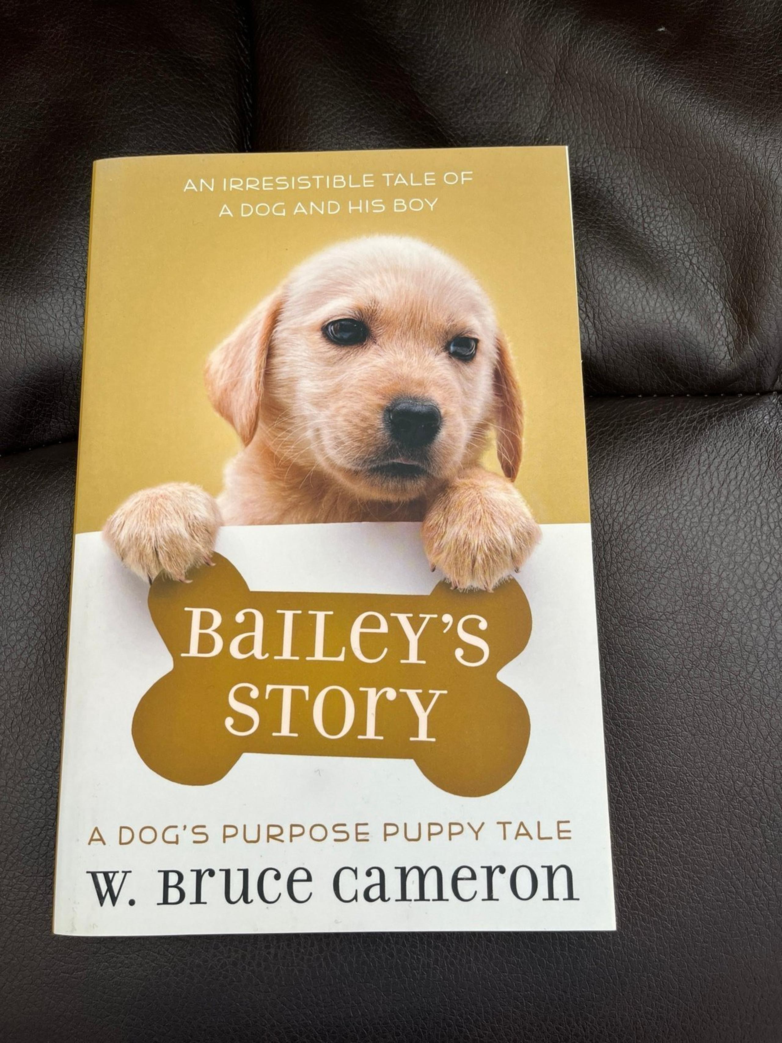 Baileys story NEW