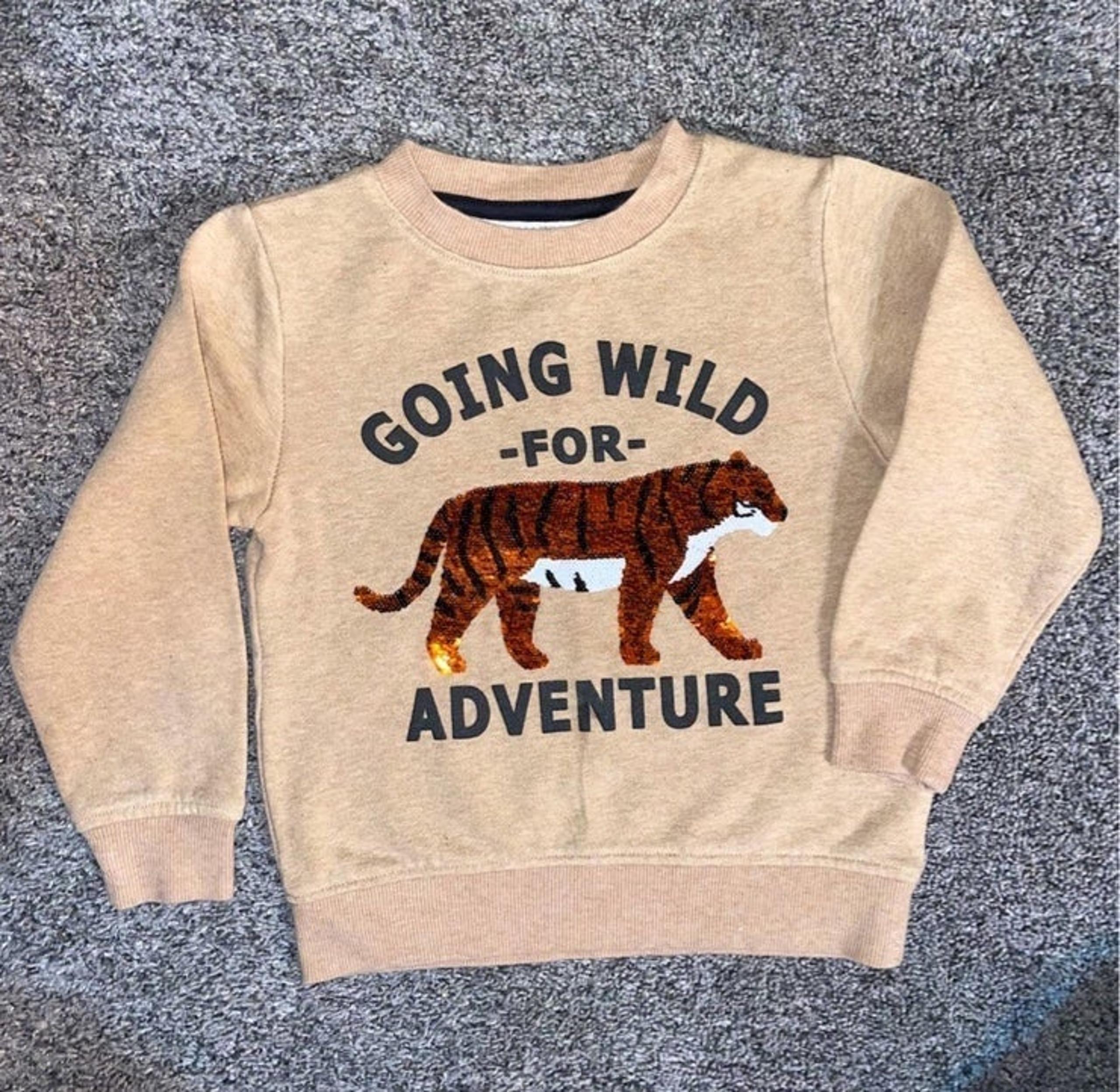 H&M Little Boys Sweatshirt Size 3 - 4 Tiger Reversible Sequins long sleeve top