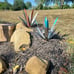 Rustic Sculpture, 2Pack DIY Rustic Hand Painted Metal Agave, Metal