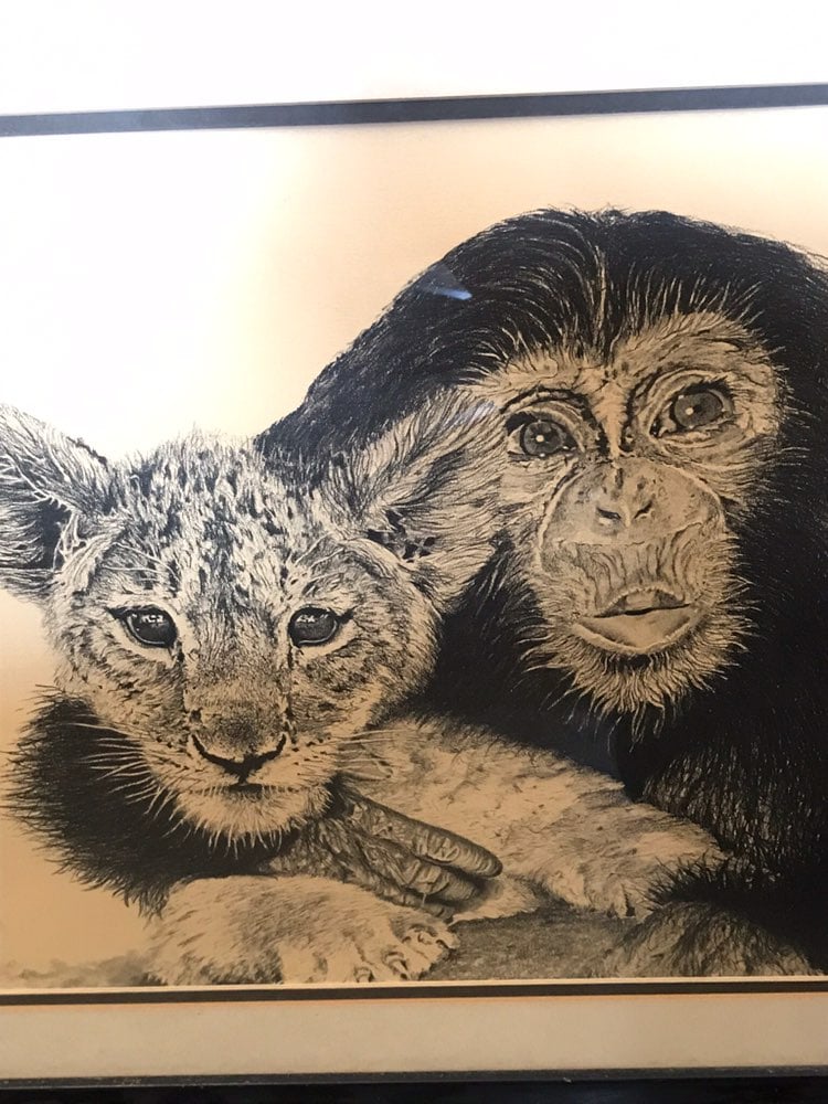 Framed Art By Gilpin