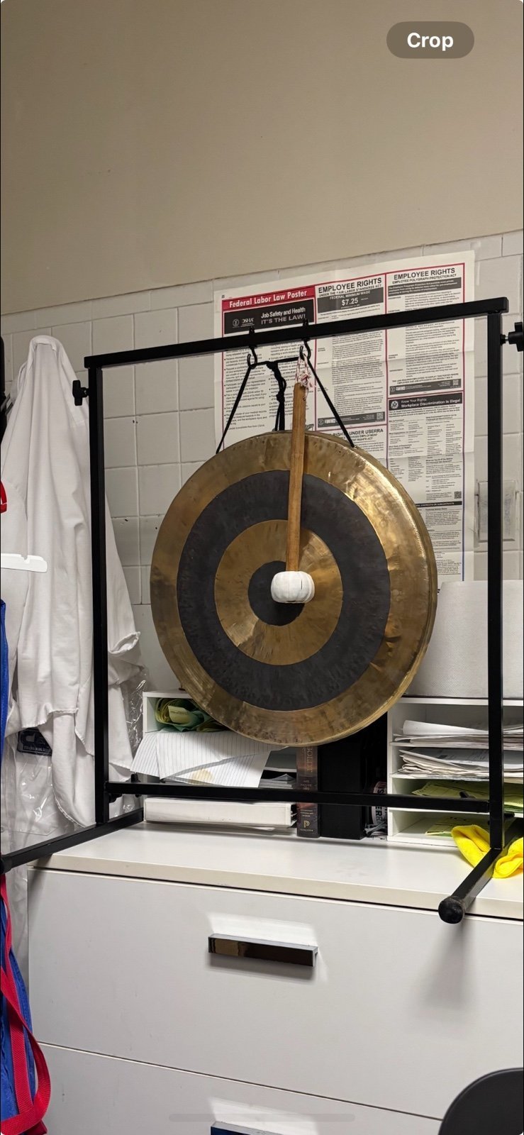 UNLIMITED SUBATOMIC CHINESE GONG