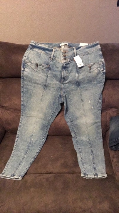 Lane Bryant pants