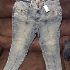 Lane Bryant pants