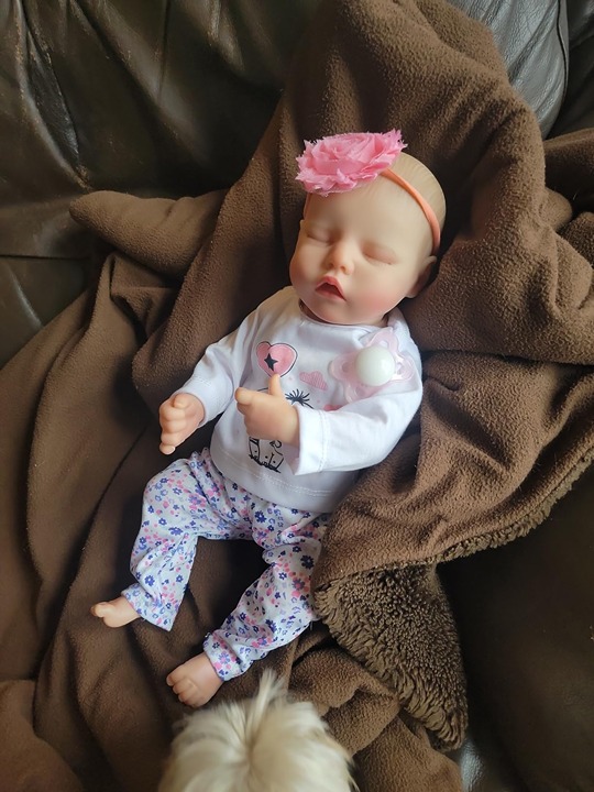 Reborn Baby Dolls - 17-Inch Baby Soft Body Realistic-Newborn Baby dolls.