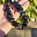 Mine Finds by Jay King DTR 925 Black Hawk’s Eye Necklace
