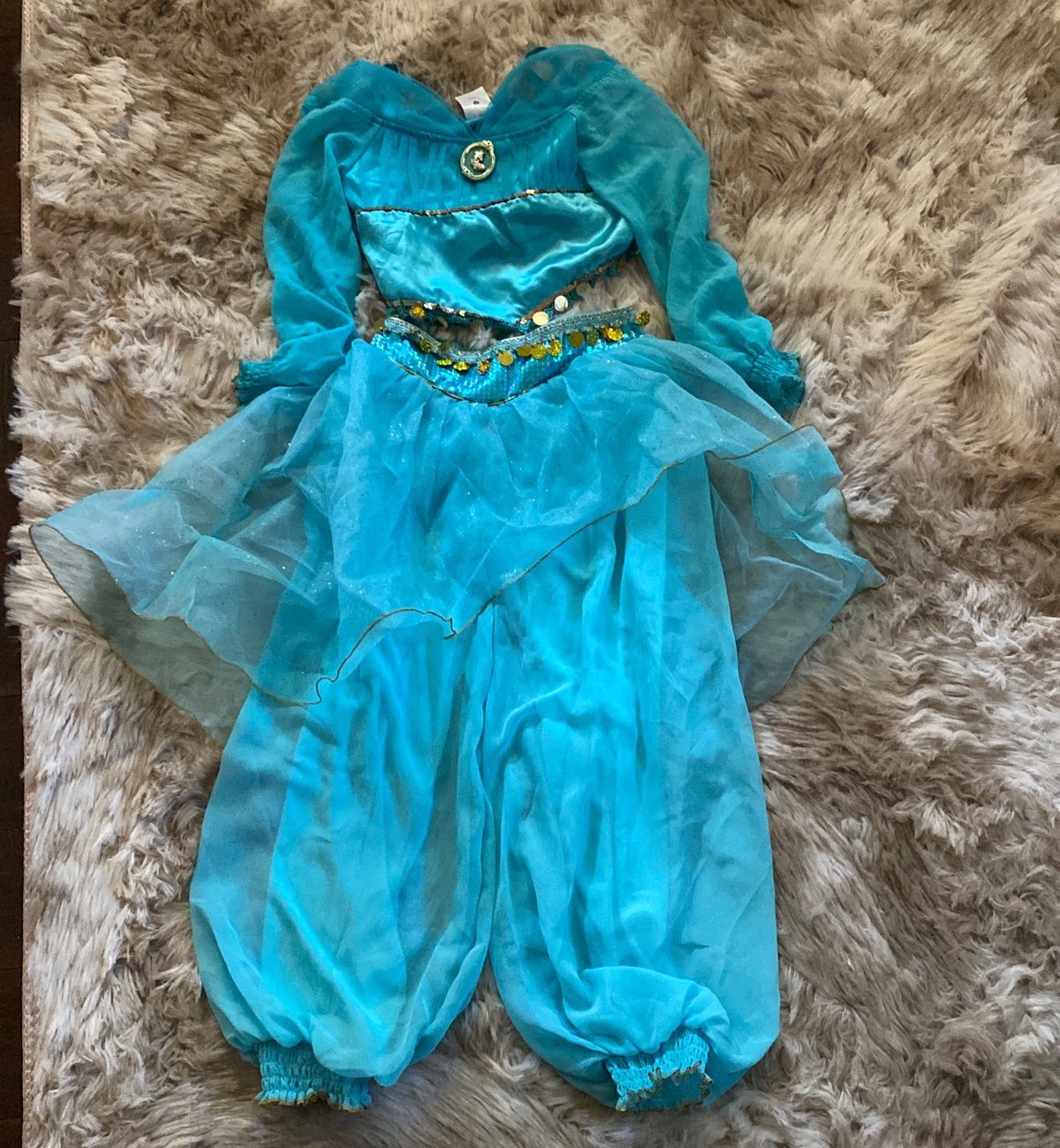 Disney jasmine costume