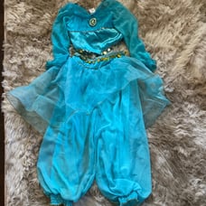 Disney jasmine costume