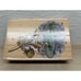 Vtg 1998 Stampendous Beatriz Potter Mr Jeremy Fisher Wood Mounted Rubber Stamp