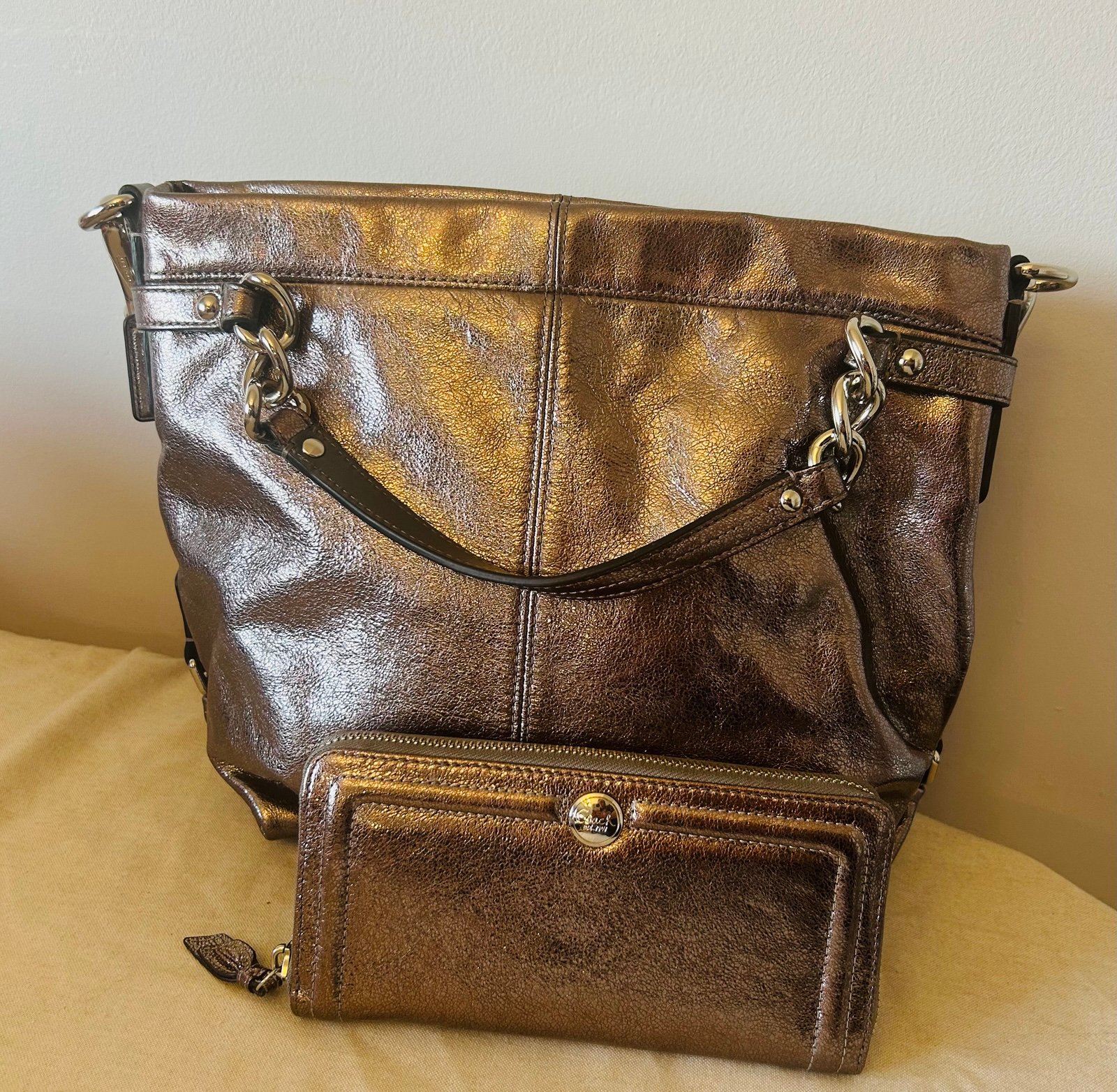 Coach Brooke metallic leather hobo bag