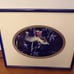 Harry Bowden 28/200 Broadtail photo framed 8x10