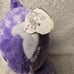 RARE Iris TY Beanie Boo From Great Wolf Lodge