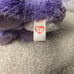 RARE Iris TY Beanie Boo From Great Wolf Lodge