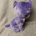 RARE Iris TY Beanie Boo From Great Wolf Lodge