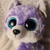 RARE Iris TY Beanie Boo From Great Wolf Lodge