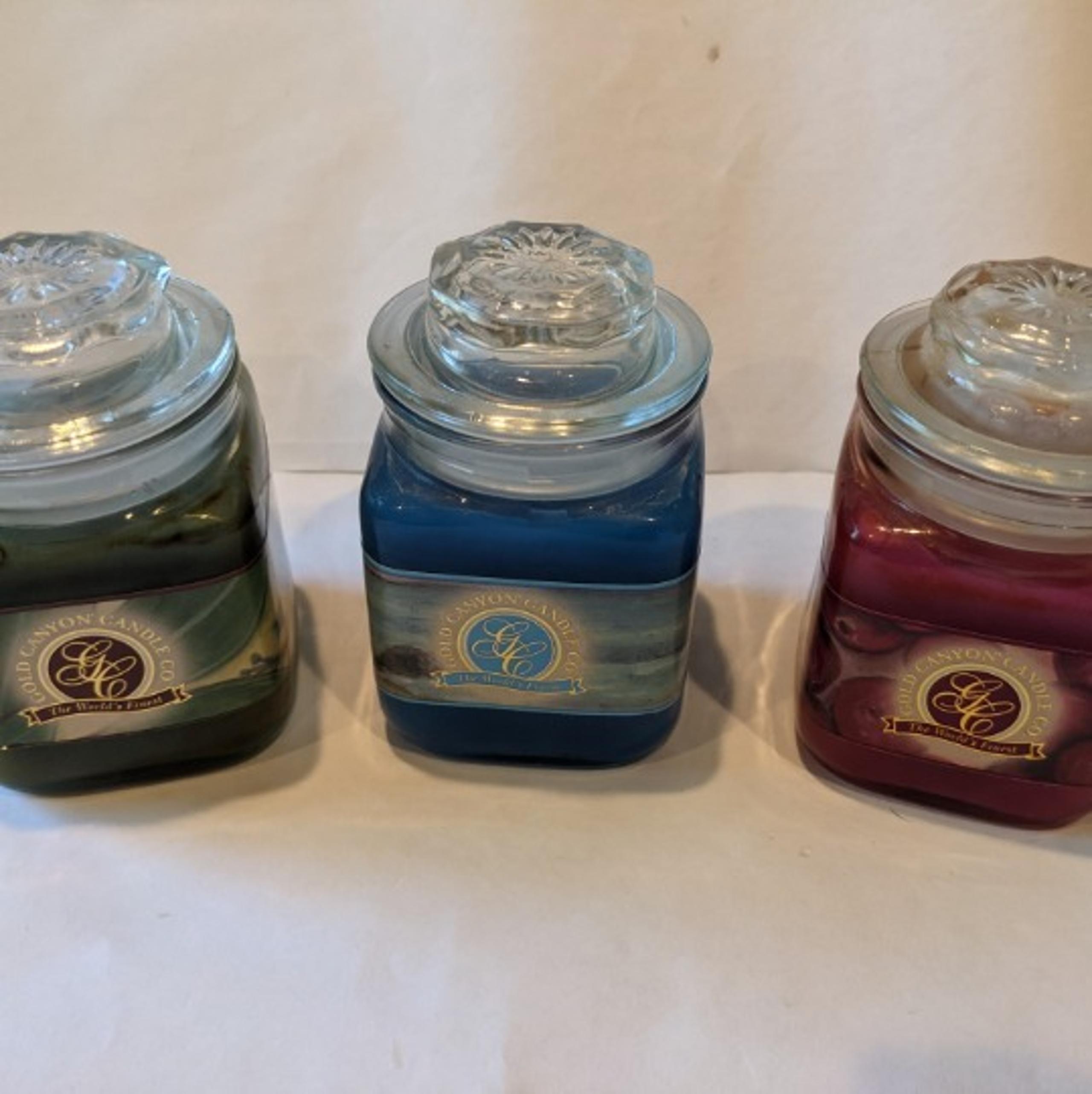~3~ GOLD CANYON CANDLE 4 OZ. OCEAN BREEZ
